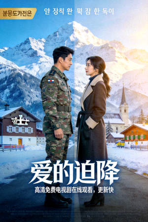 韩剧《爱的迫降》海报 - 高清免费电视剧在线观看，更新快